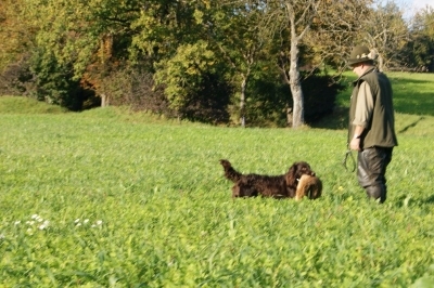 VGP-hoerzendorf-2011